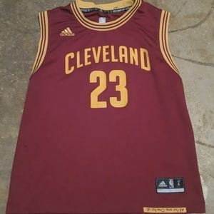 LeBron James 2015 Cleveland Cavaliers Adidas Jersey L